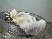 Load image into Gallery viewer, Artisan Handmade OOAK Terrier Dog In Outdoor Bath Tub