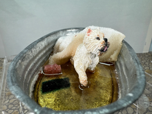 Load image into Gallery viewer, Artisan Handmade OOAK Terrier Dog In Outdoor Bath Tub