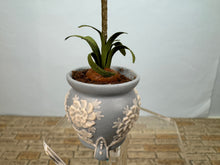 Load image into Gallery viewer, Dollhouse Miniature ~ Artisan Flowers In Vince Stapleton Handmade Wedgewood Pot