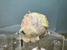 Load image into Gallery viewer, Dollhouse Miniature ~ Artisan Handmade Porcelain Teapot White & Gold With Flowers