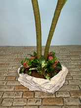 Load image into Gallery viewer, Dollhouse Miniature ~ Artisan Handmade Palm Trees Florida Landscaping