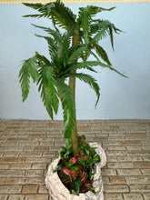 Load image into Gallery viewer, Dollhouse Miniature ~ Artisan Handmade Palm Trees Florida Landscaping