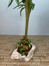 Load image into Gallery viewer, Dollhouse Miniature ~ Artisan Handmade Palm Trees Florida Landscaping