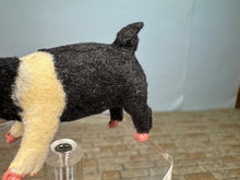 Load image into Gallery viewer, Dollhouse Miniature ~  Artisan Handmade OOAK Pig