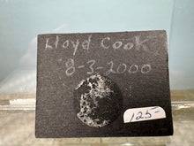 Load image into Gallery viewer, Dollhouse Miniature ~ Artist Lloyd Cook Watercolor Trees Painting