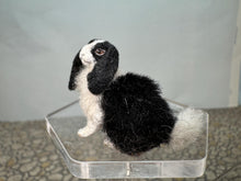 Load image into Gallery viewer, Dollhouse Miniature ~  Artisan Handmade OOAK Bunny Rabbit