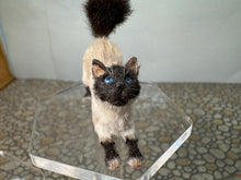 Load image into Gallery viewer, Dollhouse Miniature ~  Artisan Handmade OOAK Cat Stretching