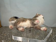 Load image into Gallery viewer, Dollhouse Miniature ~  Artisan Handmade OOAK Grey & White Cat Standing