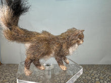 Load image into Gallery viewer, Dollhouse Miniature ~  Artisan Handmade OOAK Grey & White Cat Standing