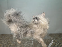Load image into Gallery viewer, Dollhouse Miniature ~  Artisan Handmade OOAK Grey & White Cat Fluffy Tail