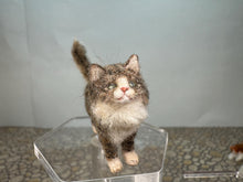 Load image into Gallery viewer, Dollhouse Miniature ~  Artisan Handmade OOAK Grey Cat With White Tail