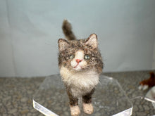 Load image into Gallery viewer, Dollhouse Miniature ~  Artisan Handmade OOAK Grey Cat With White Tail