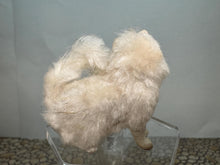 Load image into Gallery viewer, Dollhouse Miniature ~  Artisan Handmade OOAK White Cat