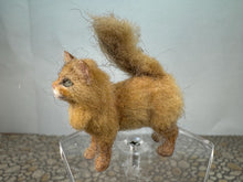 Load image into Gallery viewer, Dollhouse Miniature ~  Artisan Handmade OOAK Yellow Cat With Green Eyes