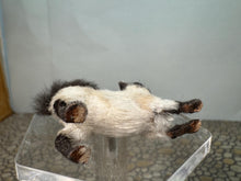Load image into Gallery viewer, Dollhouse Miniature ~  Artisan Handmade OOAK Cat Stretching