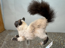 Load image into Gallery viewer, Dollhouse Miniature ~  Artisan Handmade OOAK Cat Stretching