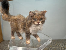 Load image into Gallery viewer, Dollhouse Miniature ~  Artisan Handmade OOAK Grey & White Cat Standing