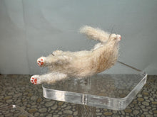Load image into Gallery viewer, Dollhouse Miniature ~  Artisan Handmade OOAK White Cat Fluffy Tail