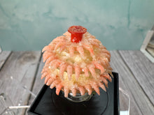 Load image into Gallery viewer, Dollhouse Miniature ~ Artisan Handmade Shrimp Cocktail 3 Tier Platter (Chipped)