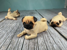 Load image into Gallery viewer, Dollhouse Miniature ~  Artisan KB OOAK Lot of 3 Handmade Signed Pug Dogs