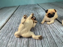 Load image into Gallery viewer, Dollhouse Miniature ~  Artisan KB OOAK Lot of 3 Handmade Signed Pug Dogs
