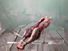 Load image into Gallery viewer, Dollhouse Miniature ~ Artisan Handmade Skinned Rabbit On String Butcher Shop