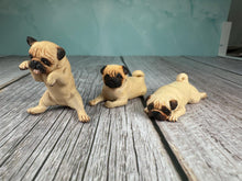 Load image into Gallery viewer, Dollhouse Miniature ~  Artisan KB OOAK Lot of 3 Handmade Signed Pug Dogs