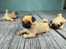 Load image into Gallery viewer, Dollhouse Miniature ~  Artisan KB OOAK Lot of 3 Handmade Signed Pug Dogs