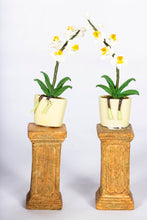 Load image into Gallery viewer, Decorated Conservatory or Greenhouse