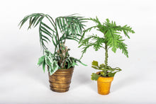 Load image into Gallery viewer, Decorated Conservatory or Greenhouse