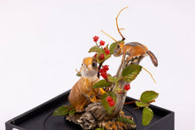 Load image into Gallery viewer, Mary McGrath Bunny & Chipmunk with Raspberries