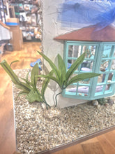 Load image into Gallery viewer, Summertime Mermaid Decorated Roombox