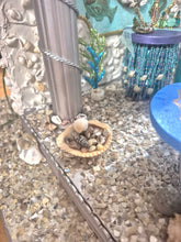 Load image into Gallery viewer, Summertime Mermaid Decorated Roombox