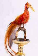 Load image into Gallery viewer, Wizard Children Dolls & Professor with Phoenix - Fern Vasi, Nantasy Fantasy and Mike Barbour