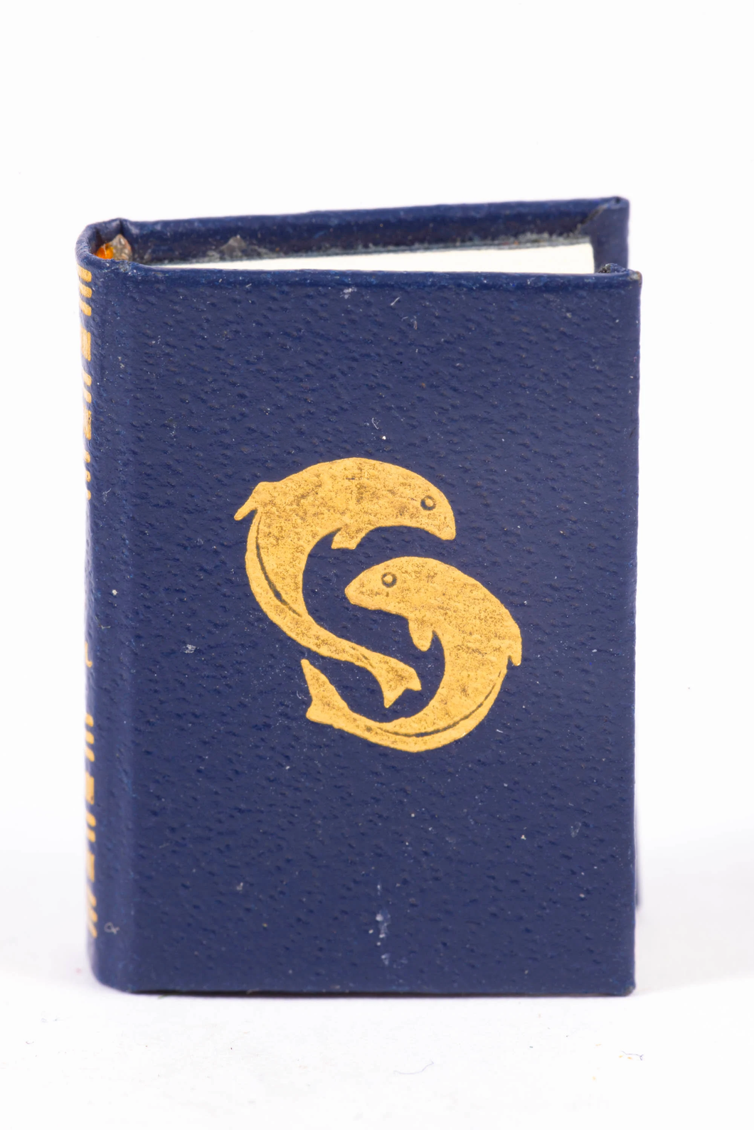 Barbara Raheb Book - The Fish Patrol