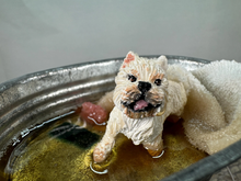 Load image into Gallery viewer, Artisan Handmade OOAK Terrier Dog In Outdoor Bath Tub
