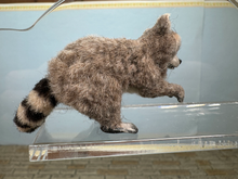 Load image into Gallery viewer, Artisan Handmade OOAK Racoon
