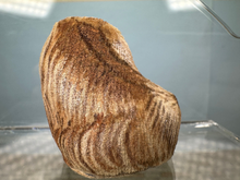 Load image into Gallery viewer, Vintage Artisan Mary Hoot Handmade Large Yorkie Dog 1979
