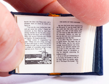 Load image into Gallery viewer, Barbara Raheb Book - The Fish Patrol
