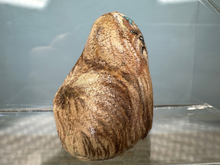 Load image into Gallery viewer, Vintage Artisan Mary Hoot Handmade Large Yorkie Dog 1979
