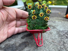 Load image into Gallery viewer, Red Wheelbarrow Filled with Daisies - Daisy Flowers
