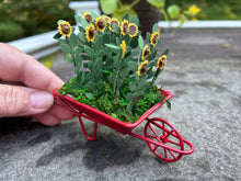 Load image into Gallery viewer, Red Wheelbarrow Filled with Daisies - Daisy Flowers
