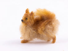 Load image into Gallery viewer, Bridget McCarty Pomeranian Dog
