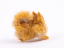 Load image into Gallery viewer, Bridget McCarty Pomeranian Dog
