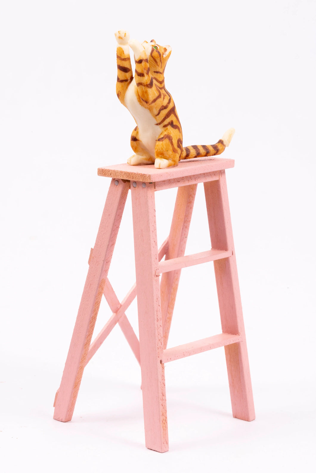 Orange Striped Cat on Ladder