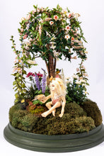 Load image into Gallery viewer, Dollhouse Miniature ~ Todd Krueger Elf Under Beautiful Tree in Dome
