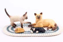 Load image into Gallery viewer, Meow! Playtime with Kittens and Cats
