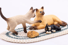 Load image into Gallery viewer, Meow! Playtime with Kittens and Cats
