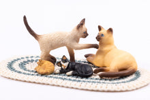 Load image into Gallery viewer, Meow! Playtime with Kittens and Cats
