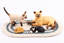 Load image into Gallery viewer, Meow! Playtime with Kittens and Cats
